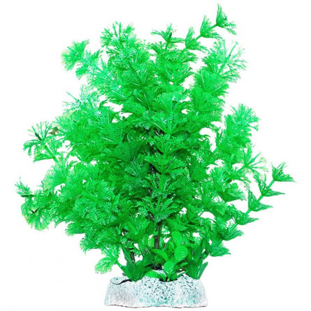 УЮТ Растение аквариумное Амбулия зеленые кружевные листья, 20 см – интернет-магазин Ле’Муррр